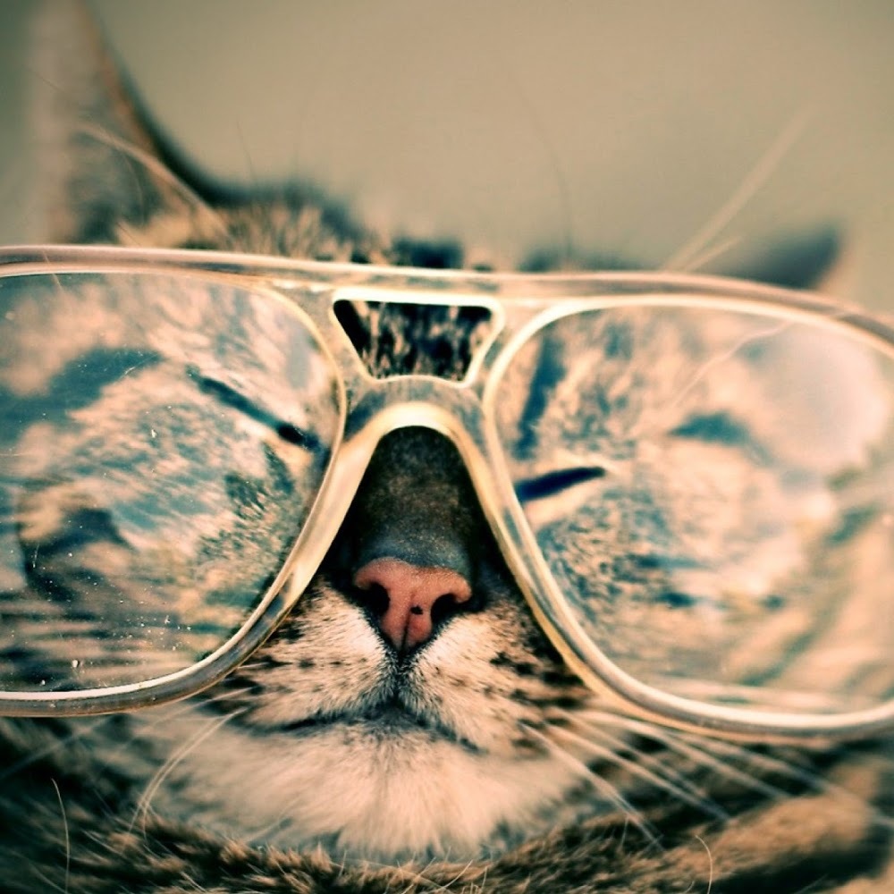 Meet your Posher, McKayla